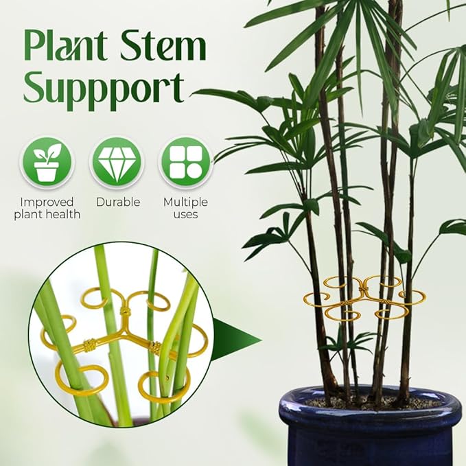 Monstera Plant Support Durable Stabilizer Grapple Holder,Plant Accessories Stable Plant Stem Support Stakes for Outdoor & Indoor Growing Climbing Plant Care Thriving Growth (3, Heart)