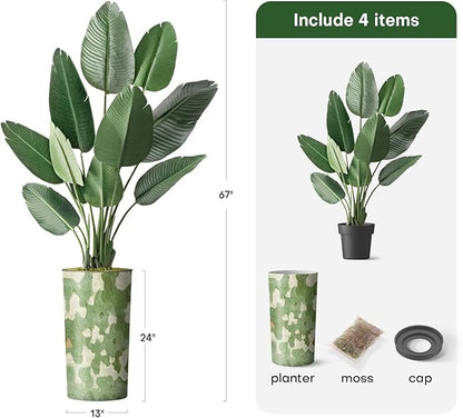 Artificial Tree in Modern Planter, Fake Bird of Paradise Silk Tree for Indoor and Outdoor Home Decoration - 67" Overall Tall (Plant Pot Plus Tree)
