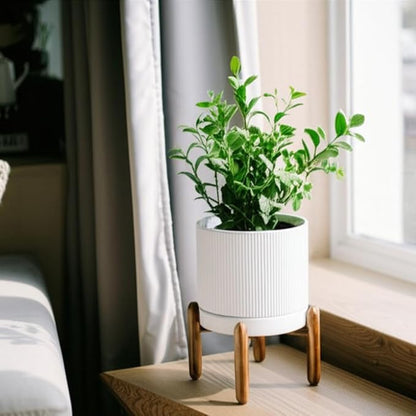 8 Inch Ceramic Planter with Natural Wood Stand w/Drainage & Saucer - Modern Indoor Planter for Cacti, Snake Plants & Aloe Vera