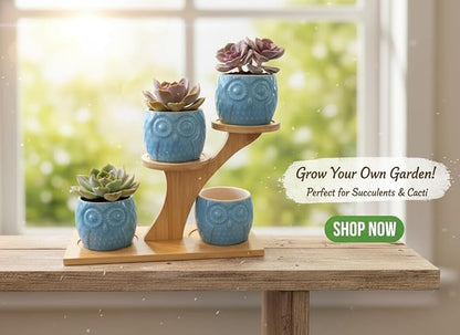 Blisse Wood Owl Planter (Blue)