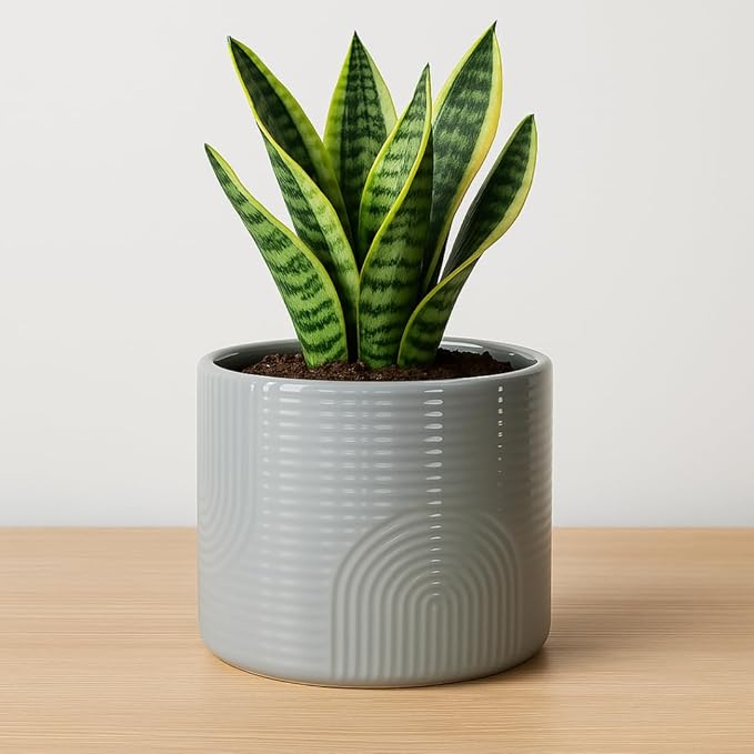 Elegant 6 Inch Ceramic Flower Pot – Indoor & Outdoor Planter for Succulents, Herbs, Small Plants – Includes Dibber & Widger – Thick-Walled Modern Design – Stone Gray – 6" x 5.2"