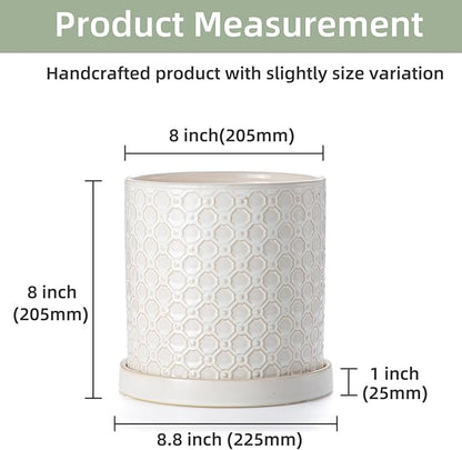 8 Inch Plant Pot: Ceramic Planter with Drainage Hole & Saucer Indoor Outdoor Plants - Cylinder Round Flower Pot for Home Office - Modern Decorative - Medium White