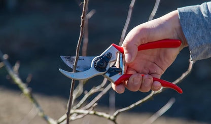 – Professional Bypass Hand Pruning Shears – Durable, Heavy Duty, Landscaping Secateurs/Scissors/Clippers-Trim your Garden, Rose Bushes, Gardenias and Outdoor Hedges