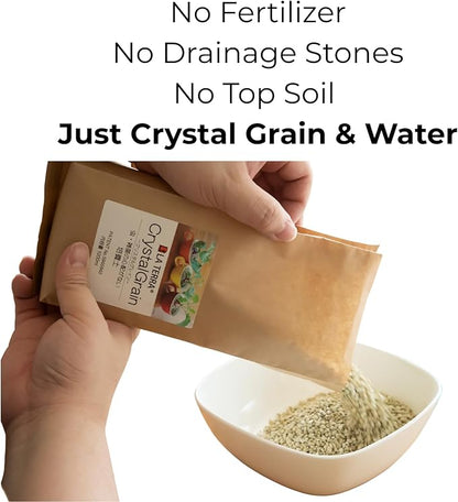 Sustainable Clean Soil for Succulents, Caudiciforms & Cacti, 3L (Medium Grain) Made in Japan– Nutrient-Enriched, No Mess, Reusable-La Terra Crystal Grain