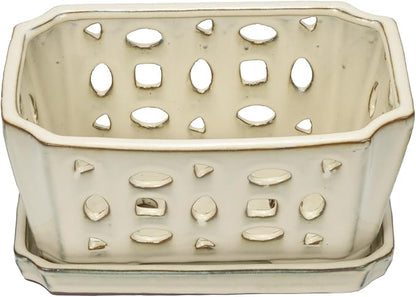 W&W Orchid Pot with Holes and Saucer for Repotting, Cream White, 9.7 Inches