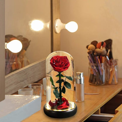 Valentines Day Gifts for Her, Beauty and The Beast Rose,Preserved Real Rose in Glass Dome,Forever Flowers with Warm Lights,Valentines Rose Gifts for Women Wife Mom Girlfriend,Birthday Gifts for Women