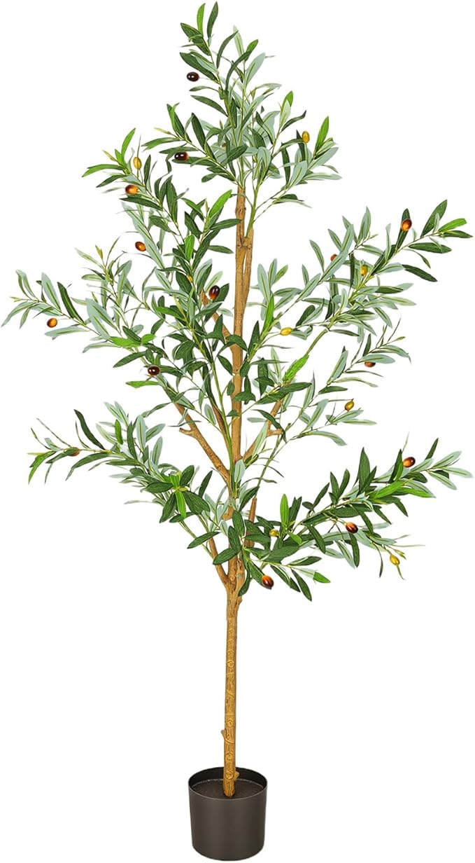 Olive Trees Artificial Indoor, 6FT Tall Faux Olive Tree with Black Pot, Moss, Lifelike Wood Trunk and Fruits,Suitable for for Modern Home Office House Living Room Decor