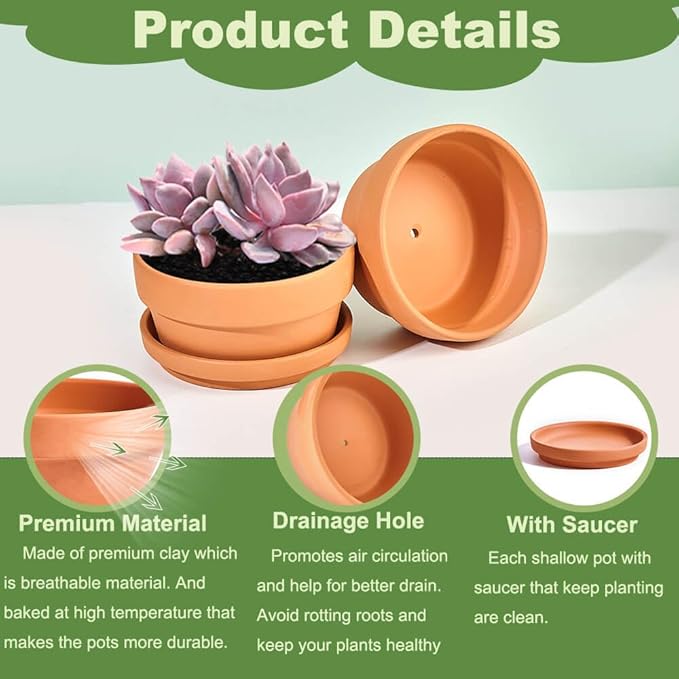 Small Shallow Terracotta Pot for Succulent - 6 Pcs Clay Planter Pots with Drainage Hole and Saucer, 5 Inch Shallow Plant Pottery Pots for Cactus Succulent and Other Indoor Outdoor Plants