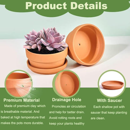 Small Shallow Terracotta Pot for Succulent - 6 Pcs Clay Planter Pots with Drainage Hole and Saucer, 5 Inch Shallow Plant Pottery Pots for Cactus Succulent and Other Indoor Outdoor Plants