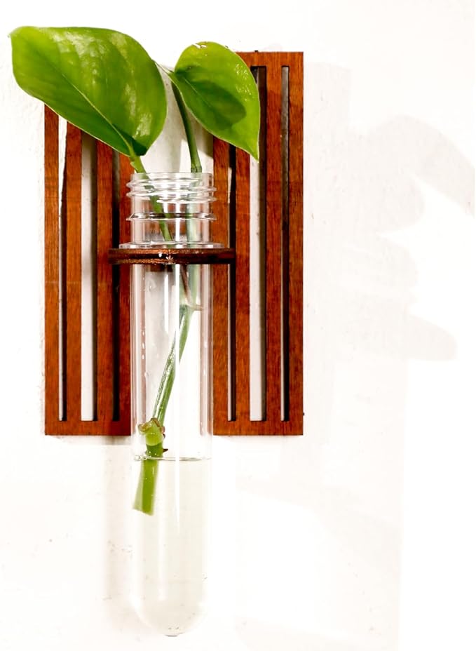 Wood Letter Wall Planter Terrariums Propagation Station with Test Tube Clear Flower Vase for Hydroponics Custom Vertical Garden Walnut DIY Home Decor Hanging Plant Holder Alphabet