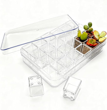24 pcs Mini Clear Plastic Planter with Box, 2.8cm/1.1in with Drainage Hole & Bottom Support. Mini Succulent Nursery Pots for Roots Viewing, Home Potting, DIY, Office/Window Sill Decor