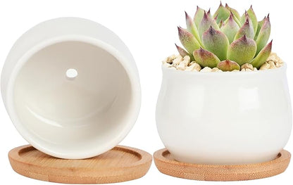 2 Pack Succulent Pots, 2.5 Inch Mini Ceramic Pots for Flower or Cactus Plants with Drainage Hole,Plants Not Included (White)