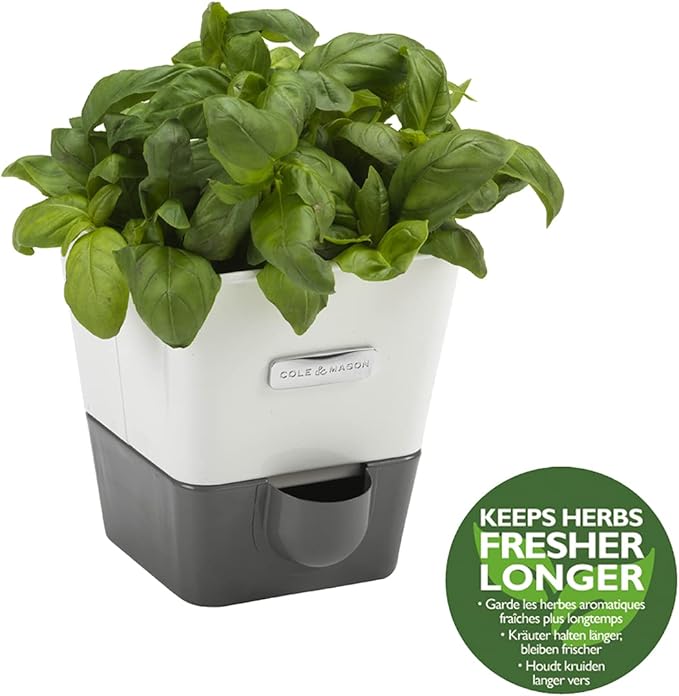 Cole & Mason Self-Watering Single Potted Herb Keeper, Indoor Herb Box, 21 cm, White/Grey, Self Watering, Includes 4 x Pads