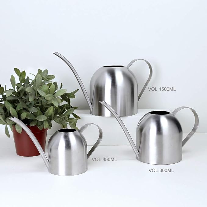 Stainless Steel Water Can for Indoor Plants and Garden (15 oz)