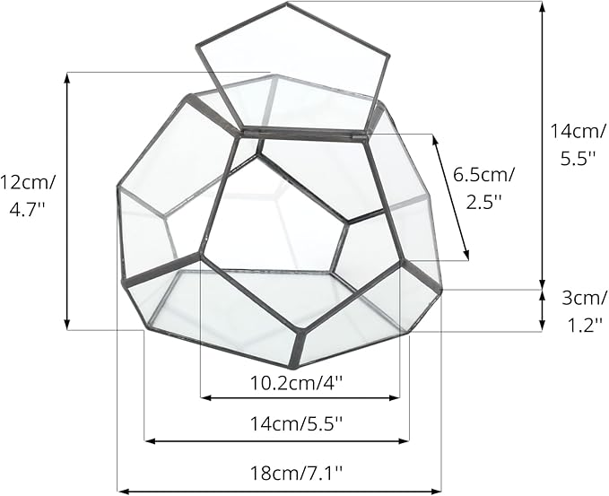 NCYP Small Glass Geometric Terrarium with Door -7.1x7.1x4.7 inches - Black Pentagon Closed Planter Pot for Succulents, Air Plants - Home Garden Office Tabletop Decoration Box (Terrarium Only)