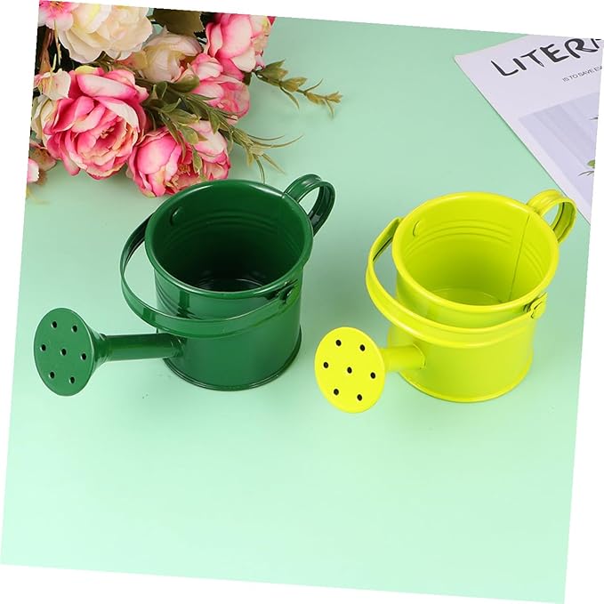 COHEALI 2pcs Iron Watering Cans for Modern Design Large Opening for Easy Refill Safe Material for Indoor and Outdoor Plant Gardening and Home Decoration