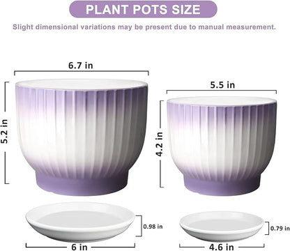 6.7 + 5.5 Inch Ceramic Plant Pots,Planters with Drainage and Saucer,Indoor Pots for Plants,Decorative Orchid Pots Set of 2（Purple + White）