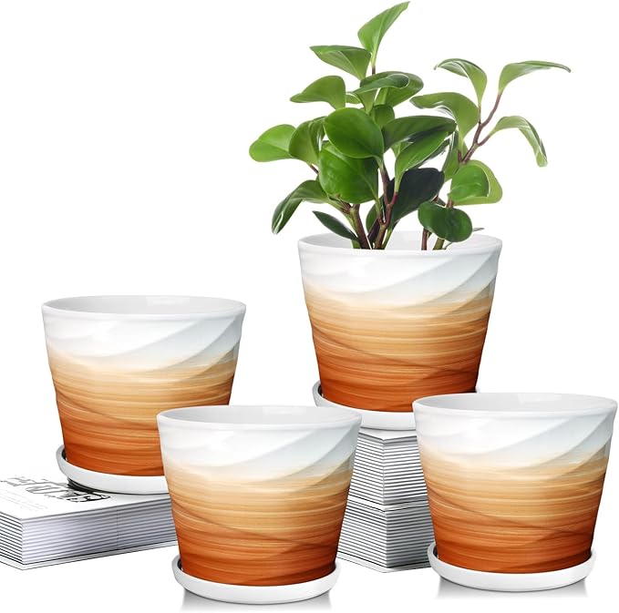 5 Inch Plant Pot,Ceramic Planter with Drainage and Saucer,Ceramic Pots for Plants,Indoor Plant pots,Planters for Indoor Plants(5.5 in Diameter,4 Pack)