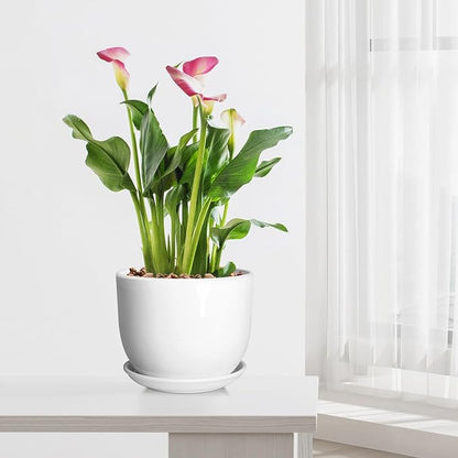 8 Inch Ceramic Planter, Plant Pots with Drainage Hole and Separable Saucer,Indoor-Outdoor Round Succulent Orchid Flower Pot,Indoor pots for Plants(Smooth White,Plant Pot only)