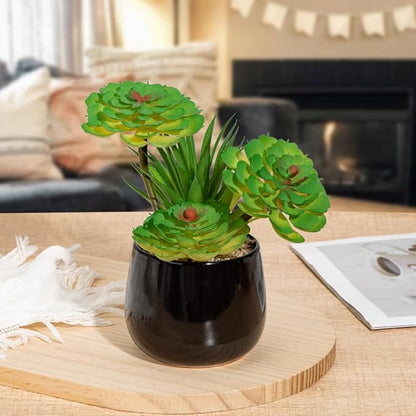 Briful Artificial Succulents Plants in Ceramic Pot, Faux Succulent with Black Planters – Modern Desk Decor for Home Office Shelf Bathroom, Small Fake Plants Potted