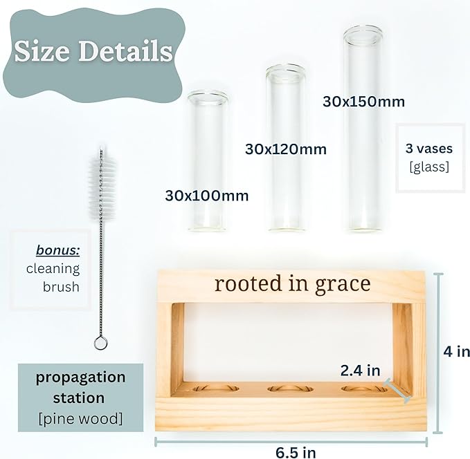 Rooted in Grace: Plant Propagation Stations: Plant Cutting Holder w/ 3 Glass Propagating Vases, Unique & Encouraging Christian Gifts for Women, Faith-Inspired Home Decor