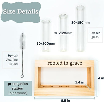 Rooted in Grace: Plant Propagation Stations: Plant Cutting Holder w/ 3 Glass Propagating Vases, Unique & Encouraging Christian Gifts for Women, Faith-Inspired Home Decor