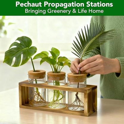 Propagation Stations, Plant Terrarium for Indoor Hydroponic Decor, Glass planters for Fresh Cuttings, Unique Birthday Gifts for Women & Mom, Home/Office Decor