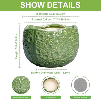 8 Inch Plant Pot - Ceramic Pots for Plants with Drainage Hole, Round Decorative Plant Pots for Indoor Outdoor, Modern Unique Flower Pot, Office Decor, Garden Gifts, Green