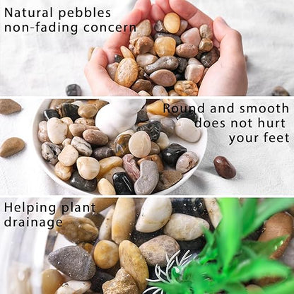 DomeStar River Rocks for Landscaping, 2lb Decorative Ornamental Pebbles Garden Landscaping Stones Gravel for Vases Fish Tank Succulent Potted Indoor Plants Crafts Home Garden Decor