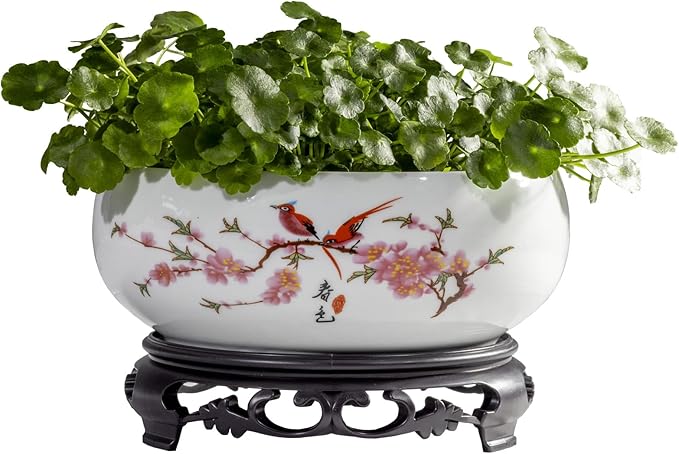 TOIVO Lotus Bowl Planter, Coarse Pottery Water Lily Flower Pot with Plastic Base, 7.8 inches (A-1)