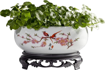 TOIVO Lotus Bowl Planter, Coarse Pottery Water Lily Flower Pot with Plastic Base, 7.8 inches (A-1)