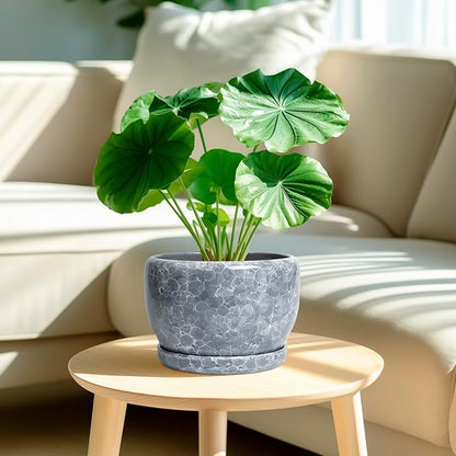 SQOWL 8 inch Plant pots Indoor - Ceramic Planter with Drainage Hole and Plant Saucer, Decorative Ceramic Flower Pot Outdoor, Modern Round Planter, Patio Porch Garden Decor, Garden Gifts, Gray
