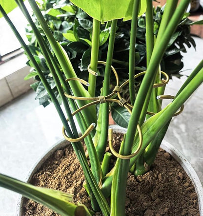 2PCS 7" Plant Stem Support,Stabilizer Grapple Holder for Monstera and Climbing Plants,Reusable Flower Plant Support,Leaf Stabilization and Support for Thriving Growth.