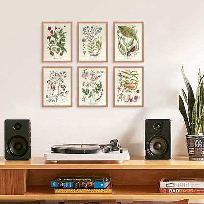 YUMKNOW Farmhouse Vintage Botanical Wall Decor - Unframed Set of 6, 11x14, Boho Cottegecore Plant Leaves Room Decor for Bathroom, Bedroom Art Posters Prints, Aesthetic Flower Pictures Office Kitchen