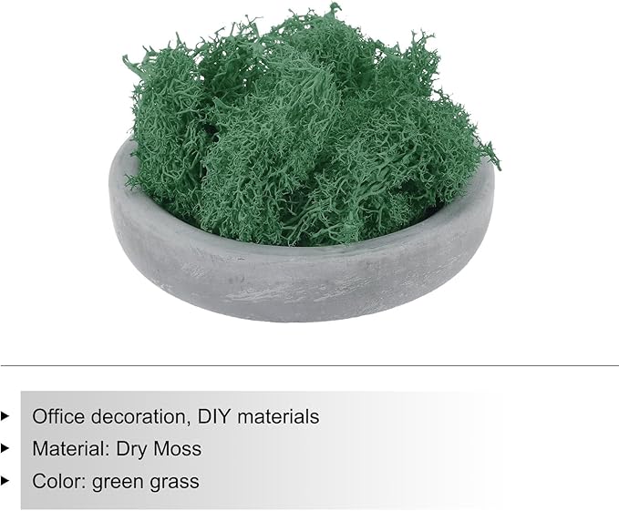 MECCANIXITY 3.5 OZ Moss Fake Craft Moss Artificial Moss Natural Preserved Moss for Craft Arts Floral DIY Project Wall Wedding Garden Patio Table Terrariums Decoration(Turquoise)