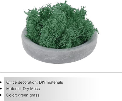 MECCANIXITY 3.5 OZ Moss Fake Craft Moss Artificial Moss Natural Preserved Moss for Craft Arts Floral DIY Project Wall Wedding Garden Patio Table Terrariums Decoration(Turquoise)