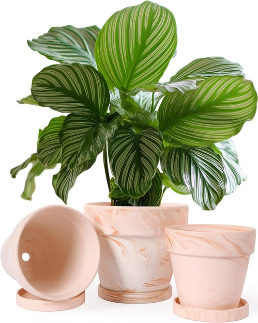 INGOFIN Terracotta Plant Pots 4.7/5.1/6.3 Inch Set of 3, Red White Clay Flower Pots with Drainage Holes & Tray Saucer, Breathable Garden Planters for Indoor Outdoor, Succulent, Cactus, Herbs