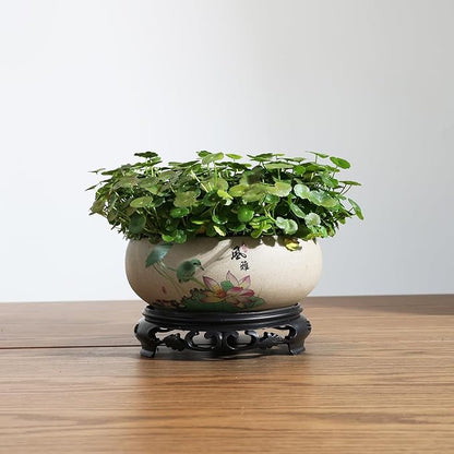 TOIVO Lotus Bowl Planter, Coarse Pottery Water Lily Flower Pot with Plastic Base, 7.8 inches (B-3)