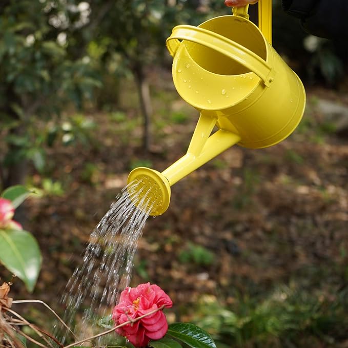 DUSVALLY Metal Watering Can 54.5 Oz Modern Style Watering Pot with Handle and Rosehead, Watering Pot for Outdoor and Indoor House Plants,Yellow