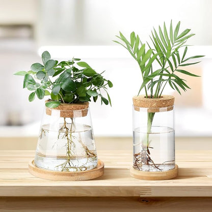 Layhit 4 Pcs Plants Propagation Stations vases Glass Planters with Wooden Lid and Bamboo Stand for Hydroponic Plants Gardening Gifts for Women Mom Home Office Tabletop Decoration(Stylish Style)