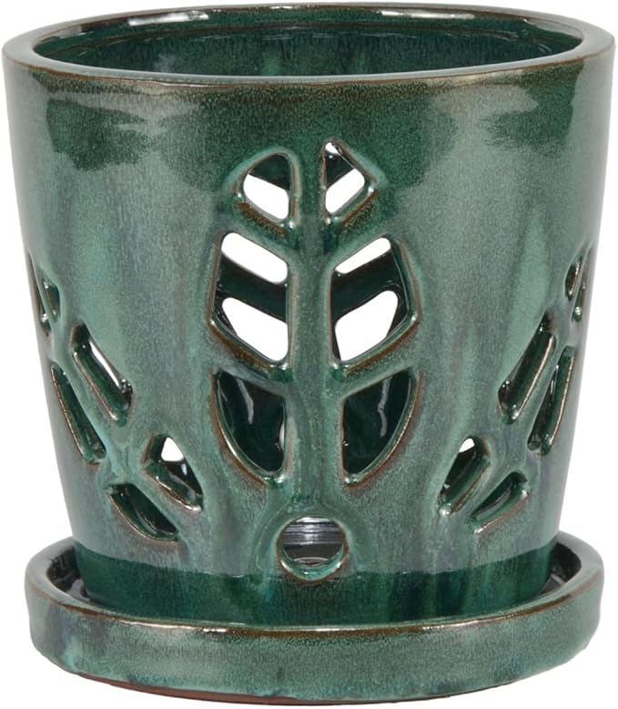 W&W Orchid Pot with Holes and Saucer for Repotting, Green Mix, 5.5 Inches