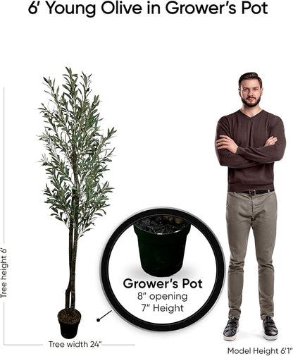 Cypress & Alabaster Handmade 6ft Young Olive Artificial Tree with Ethically Sourced Real Wood Trunks, Hypoallergenic, 6-Foot, Green