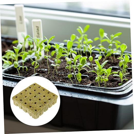 Sosoport 75pcs Indoor Plants Slow Release Fertilizer Spikes for Soil Blocker Plant Peat Block Gardening Soil Block