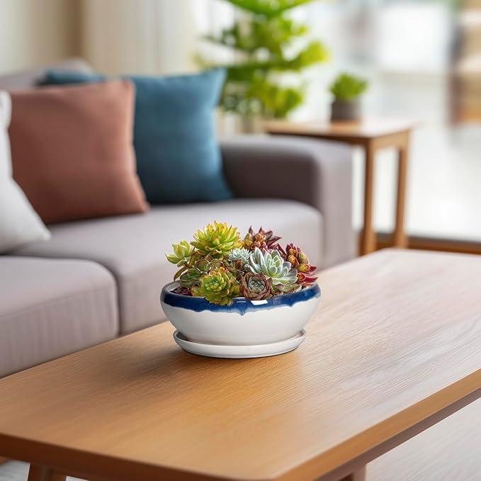 SQOWL Succulent Planters 6 Inch - Ceramic Bonsai Pots with Drainage Hole and Saucer, Round Shallow Planter for Indoor Outdoor Plants, Ceramic Cactus Pot, Apartment Decor, Gifts for Women, Blue-Beige