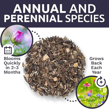 Bulk Wildflower Seeds Butterfly and Humming Bird Mix - 1/4 Pound Bag - Over 30,000 Open Pollinated Annual and Perennial Seeds