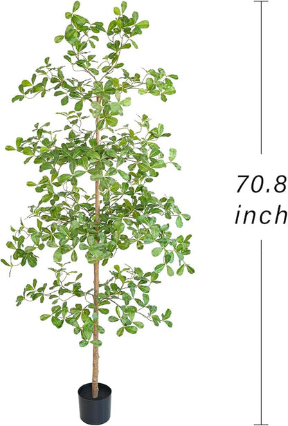 Artificial Black Olive Tree, 6FT Tall Big Leaf Faux Shady Lady Tree with Potted, Fake Olive Tree for Home Decor Indoor