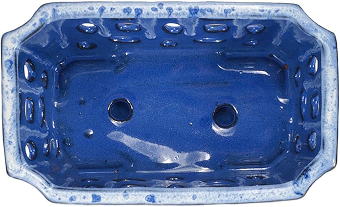 W&W Orchid Pot with Holes and Saucer for Repotting, White and Blue, 9.7 Inches
