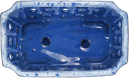 W&W Orchid Pot with Holes and Saucer for Repotting, White and Blue, 9.7 Inches