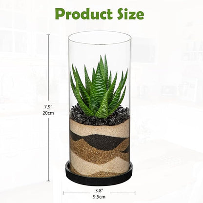 Artificial Succulent in Cylindrical Glass Vase Fake Aloe Plant with Modern Glass Terrarium for Home Decor Farmhouse Hostess Gift