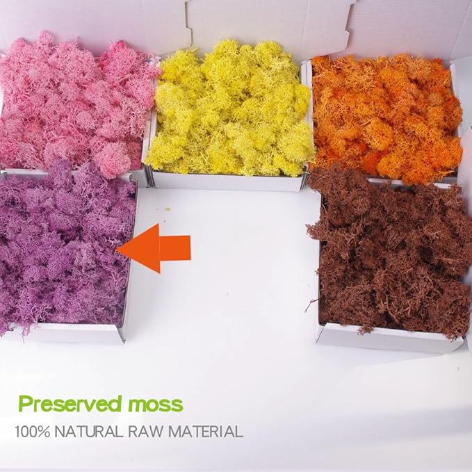Preserved Moss-3.5 OZ Moss for Crafts Faux Moss Decor Natural Green Moss for Art Wall Florist Decor, Fairy Gardens, Wedding, Floral Project(Purple 3.5 OZ)